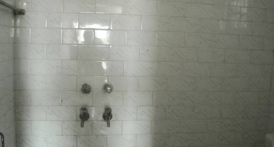 Hotel Pelican, Bharatpur 2